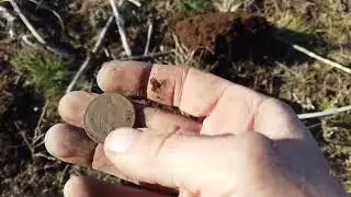 Закрываем сезон с Китайским металлоискателям Z60