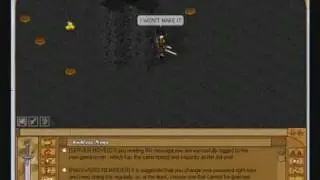 Endless Online PK survival