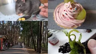 старые видосики / мои ± эстетичны воспоминания