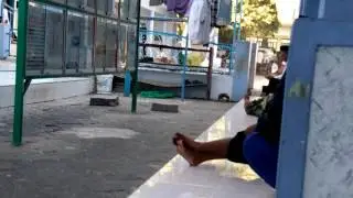Pembagian Nasi Untuk Santri Di PP Nurul Jadid Saat Hari Kurban