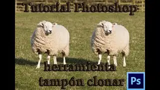 Tutorial Photoshop español herramienta TAMPON CLONAR