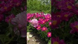 14 июня 2023 г.