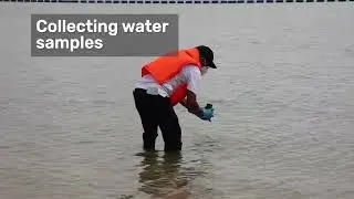 Oil Spill - Water Testing