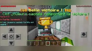 Minecraft | Hide and Seek