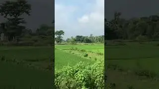 Chut Gail Gaon Ke Bachpan #village #villagelife