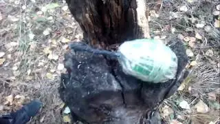 мега киндер из флеша!!! супер взрыв!!!