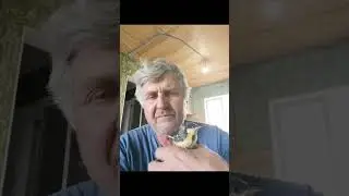 13 июля 2025 г.