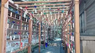 風が無いから人工で風おこし???