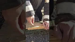 Дверь ручной работы🤭