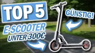 Die besten E-SCOOTER UNTER 300€ | Top 5 günstige E-Scooter Vergleich