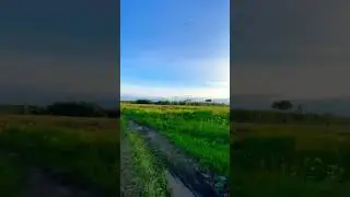 #nature #окунево #путешествия #travel #природа