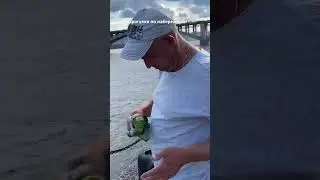 Красноярск-рыбалка на набережной🎣 #рыбалка #прогулки #еда #shorts