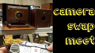Ohio Camera Swap of 2021