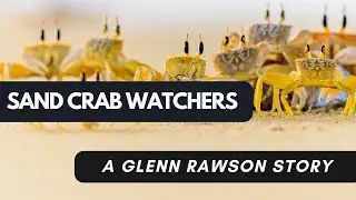 Sand Crab Watchers - A Glenn Rawson Story