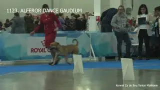 Eurasia 2019 Ca de Bou Males Open