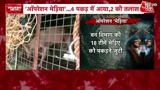 UP News: 35 गांव, 16 टीमें, बहराइच में ‘ऑपरेशन भेड़िया’ कहां तक पहुंचा? | Bahraich Wolf Attack