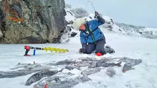 ЭТО ПИСЕЦ 2! ОПЯТЬ ТОННЫ РЫБЫ ВМЕСТО ДНА! ПЕРВЫЙ ЛЁД В ЗАПОЛЯРЬЕ