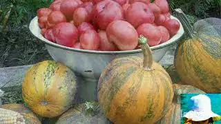 Почему нам так необходимы сезонные продукты?!