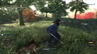 Ronin