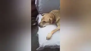 Мы по прежнему по уши в долгах😔 Обращаюсь к вам за помощью 🙏🏼