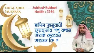 Slaughter the sacrificial animal according to the hadith | কুরবানীর পশু কখন জবাই করবেন জানেন কি ?
