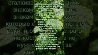 Притча Поиск Истины 