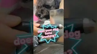 hate brushing? a quick easy fix