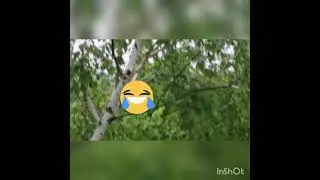 У нас дожди а у Вас