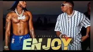 Jux & Diamond Platnumz - Enjoy (with lyrics & translation)