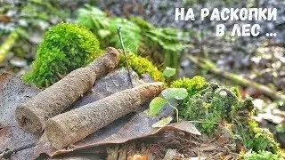 Excavations in the forest. Military finds. Almost found a horse.