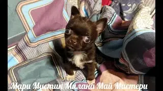Ищем 