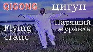 Qigong Flying crane - Цигун 
