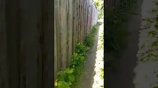 Тропа 