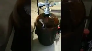 Разливаю NEIPA очень вкусный эль!!!