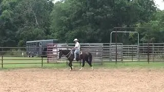 Duchess: Arena Work 30 June 2021 #8