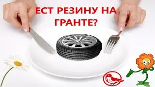 Ест резину на гранте