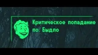 Quasar опять не справился с управлением