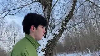 Иванов Даниил - Пробы Эдик