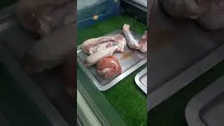 In tray