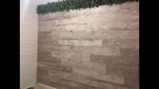 Фитостена в интерьере дома