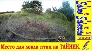 Место для ловли птиц на ТАЙНИК.