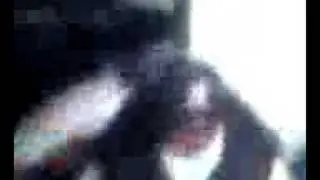 HYPHY EAST PALO ALTO NIGGA IN ATLANTA GA