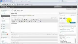 How to schedule blog posts on Wordpress
