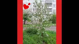 12 мая 2024 г.