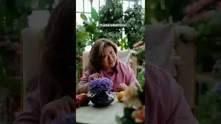 Что такое хоровац?