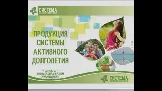 САД Презентация