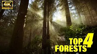 The 4 Most Graphically Jaw dropping Forest in Games