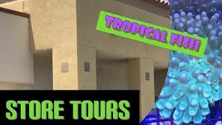 FISH STORE TOUR
