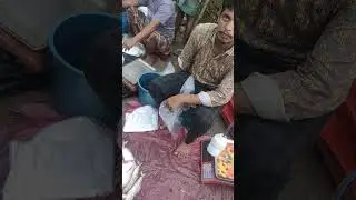 ইলিশ মাছের হাট ! যেখানে টাটকা ইলিশ পাবেন। চট্টগ্রামে ইলিশ  ও সামুদ্রিক মাছের বাজারদর।
