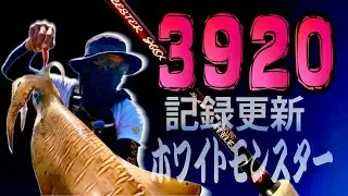 【エギング】デカイカの時合いは一瞬‼️春イカ3キロ‼️レスターホープ709MH egging squid